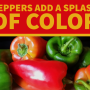AB79F577-5303-4054-B0CD597BD5534686.png