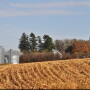 iowa_harvest