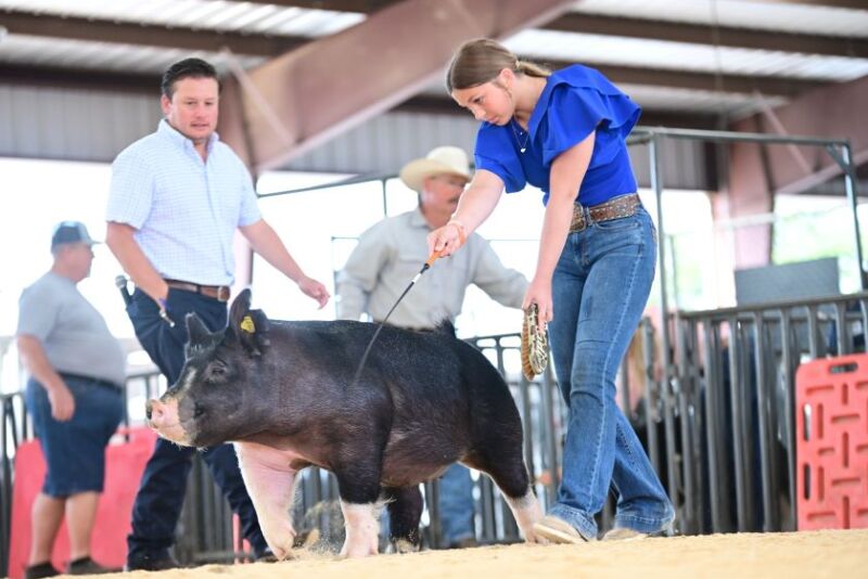 Madi Hardin Showing Berkshire