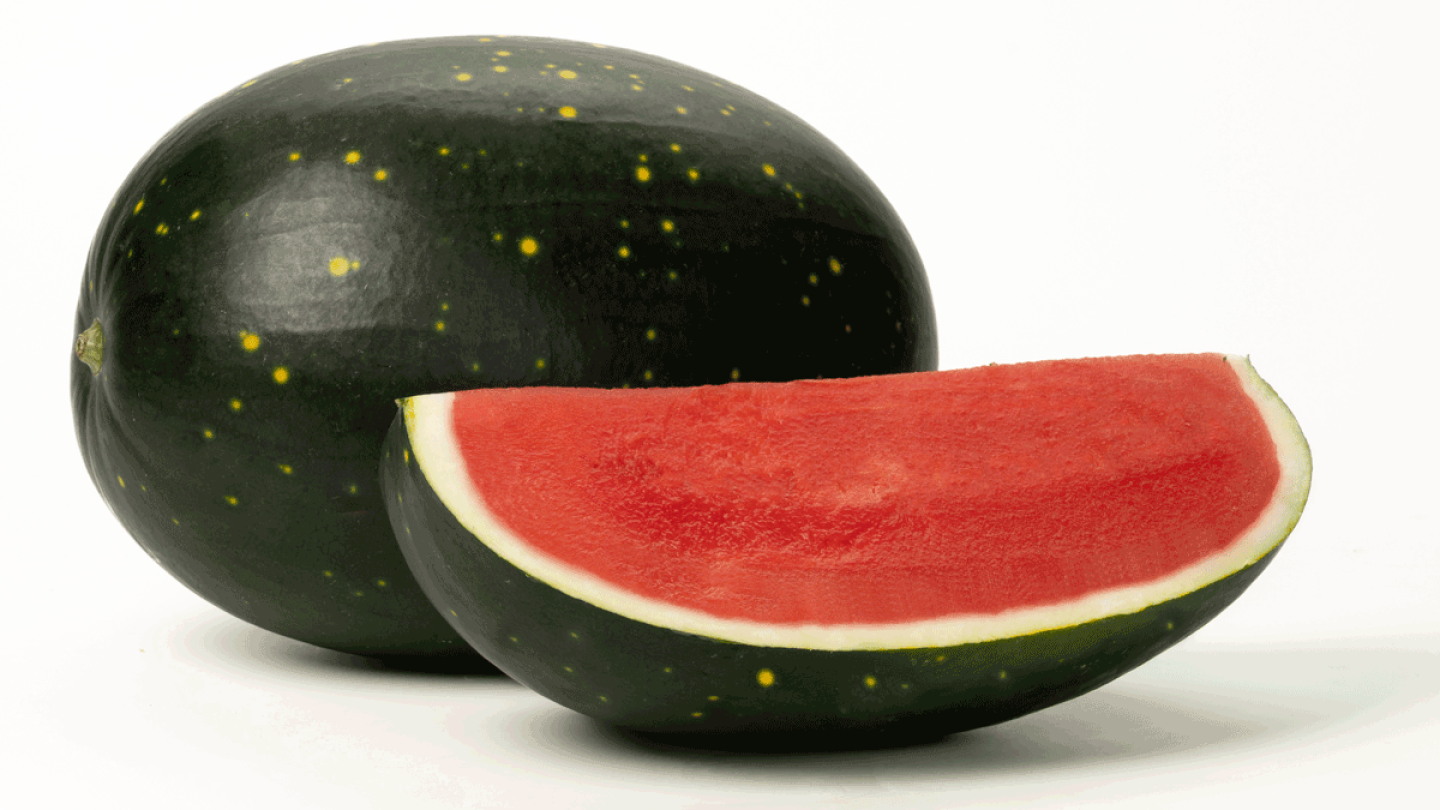Enza Zaden, Sprouts Partner on Moon & Stars Seedless Watermelon - The ...