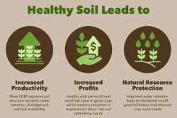 Healthy Soil Leads to.png