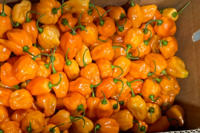 Peppers