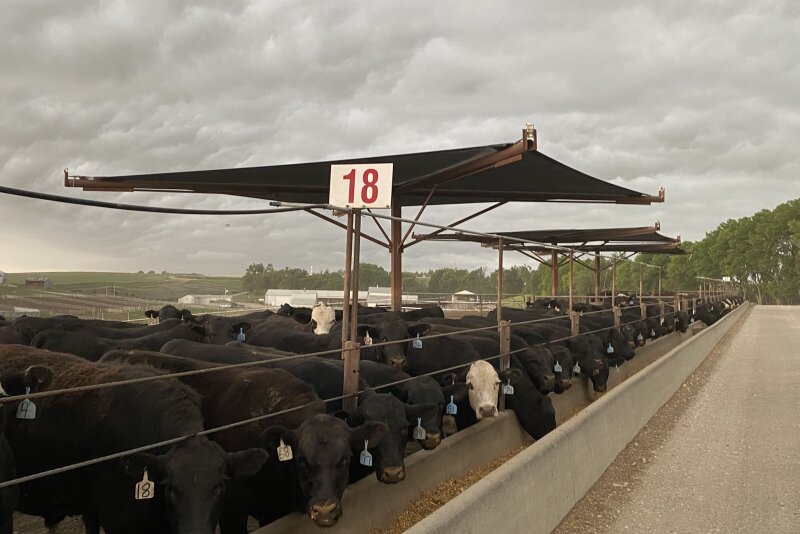 J&S Feedlot