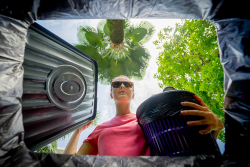 Woman looking into composting bin