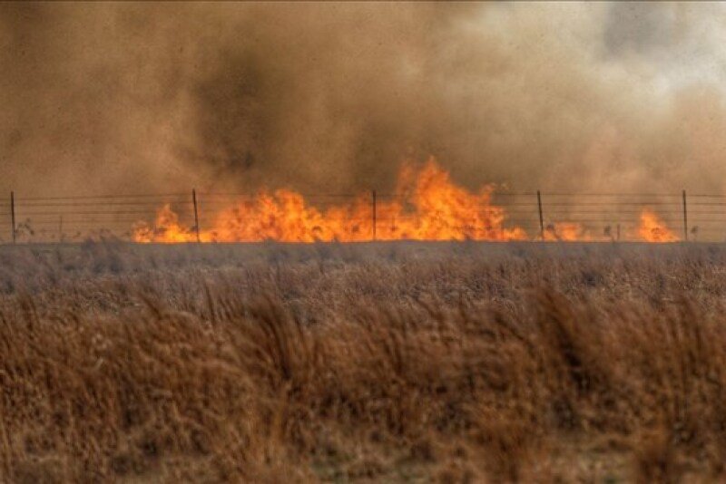Wildfires are prompting a feed shortage.