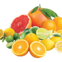 Progressive Produce citrus.png