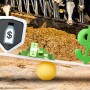 Dairy Profit Equation