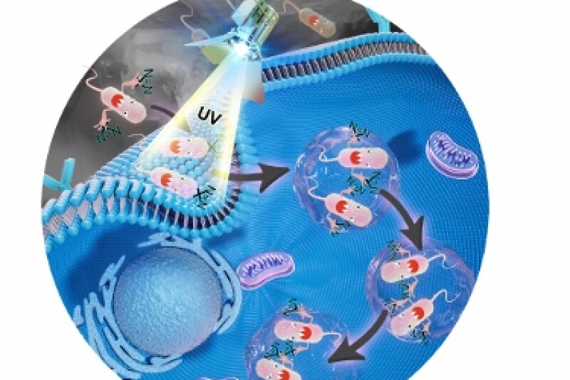 W. Andy Tao and colleagues have developed a method to implant a chemical label that acts like a GPS tracker into live salmonella bacteria. Once inside the bacteria, the probe can be captured at any given time, showing in real time the proteins interacting with the bacteria.