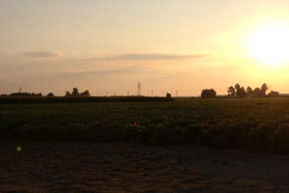 The dynamics of 2022 are shaping up to make this year a pivot point for ag retail says Brett Bruggeman, president of WinField United. 