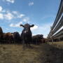 BT_Feedlot_GoPro