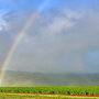 Bayer is a significant contributor to Hawaii's agriculture community, with farms on Maui, Molokai and Oahu.
