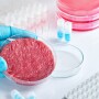 meat in a petri dish