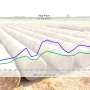 Hay Prices
