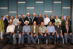 BIF Board