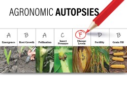 Agronomic Autopsy 
