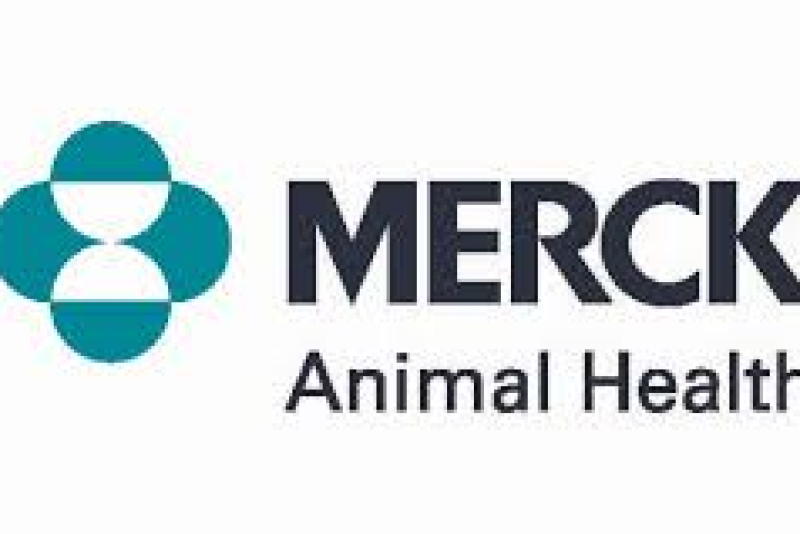 Award recipients from U.S. and international veterinary schools accredited through the AVMA were selected based on academic excellence, financial need, leadership and area of interest within the profession.