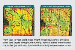Management Zones