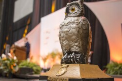 FFA Owl