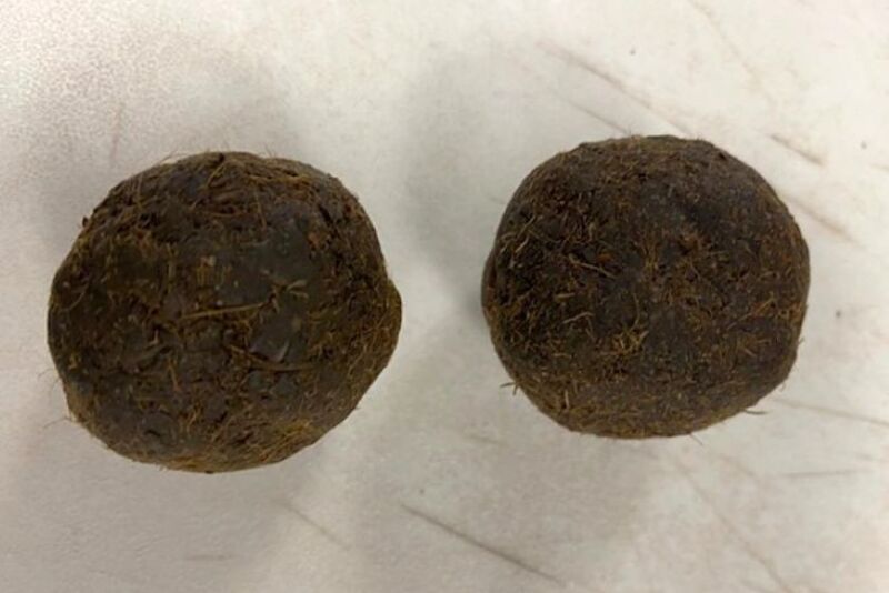 Cow Dung Cakes