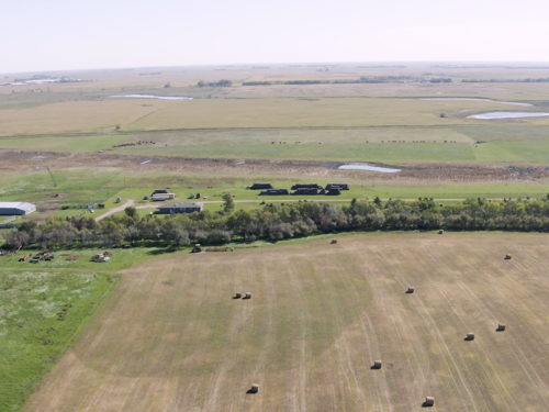 Sand Ranch