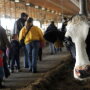 SwissLane_Dairy_Farms