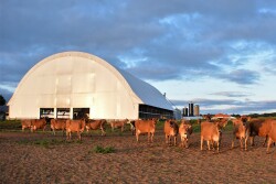 Jersey farm