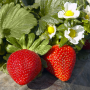 CB9CC841-16DD-4862-A961EFBA67E00F4B.png