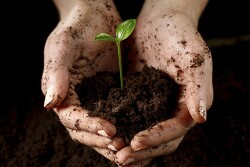 As part of the 2020 Executive Women in Agriculture conference, a award will be given to a female producer who is a shining example for her peers. 