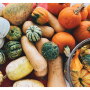 Fall squash offerings from Killam and Bassett Farmstead.