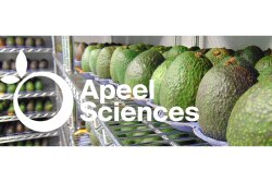 A shelf of avocados ripening with a logo of Apeel Sciences overlaying the image. 