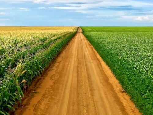 Farming Input Costs Are Rising – How Producers are Managing the Risk 