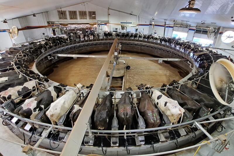 milking parlor