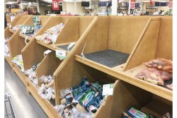 Potato displays were shopped down in the mid-March ‘panic buying’ stage of the pandemic.