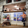 Sullivan County 4-H and FFA Youth Livestock Sale on Sept. 21, 2020, Milan, MO.