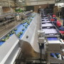 Apeel-treated avocados being packed at West Pak's Michoacan location. 