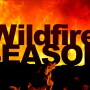 "Grass and brush are just tinder, they are like a fuse for these wildfires.” an official with the California Department of Forestry and Fire Protection said this week, raising doubt that there'll be fewer wildfires in 2018. 

