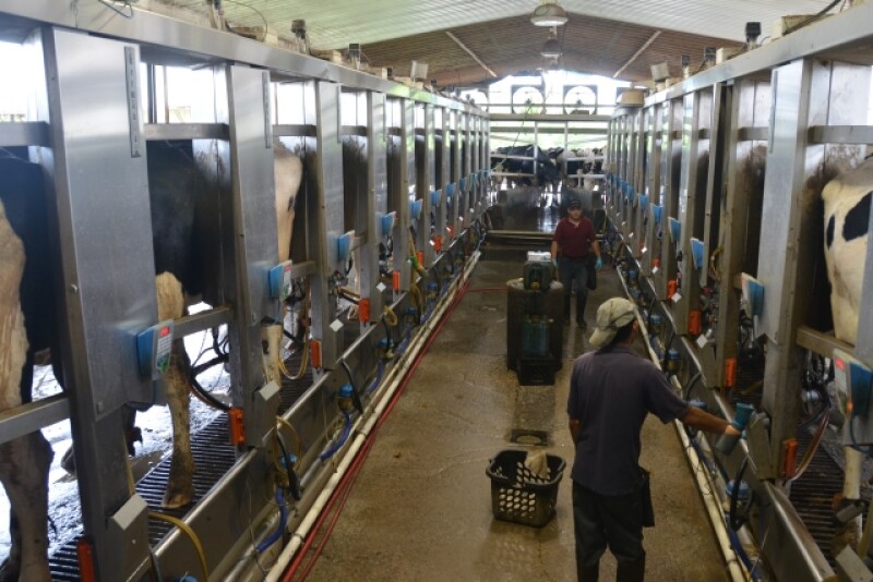 DT_Dairy_Parlor_Employees