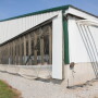 A one-year delay is needed before North Carolina’s new water quality requirements for large hog farms can take effect, budget writers say.