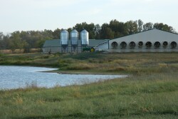 HogFarm-fall.jpg