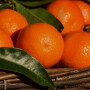 438511F3-78E9-4BBF-A7DFFA6804BBABB9.jpg