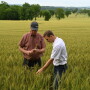 Huma Chief Marketing Officer, Fred Nichols (pictured left), along with Huma Regional Agronomist, Barrett Smith (at right), study the plant health of this year's wheat crop.