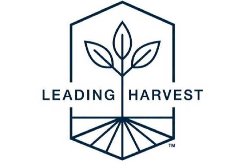 lh logo