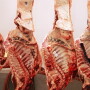 carcass