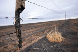 Burned.fence_.sam_.craft_.jpg