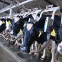Key factors indicate that milk prices will continue to strengthen as we progress through the year. 