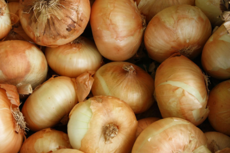 D7120EDA-1394-42E6-AECCA736CC37E680.png