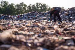 Food waste