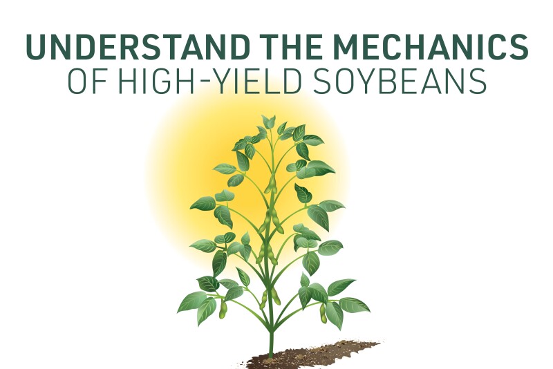 Farm Journal Associate Field Agronomist Missy Bauer says maximizing yields requires a complete understanding of the soybean plant.