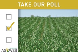 Take our poll: How optimistic are you now about your corn yields compared to when you planted?
