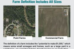 Farm size comparison